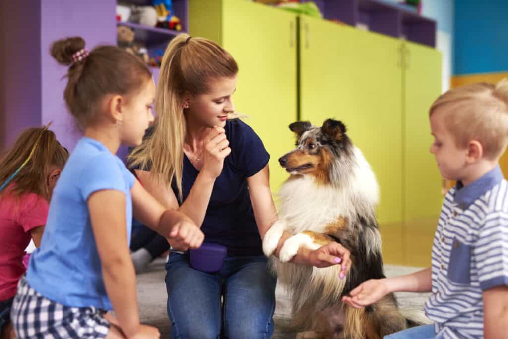 Are Shelties Good With Kids?