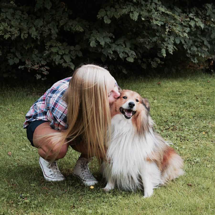 Do Shelties Like to Cuddle?