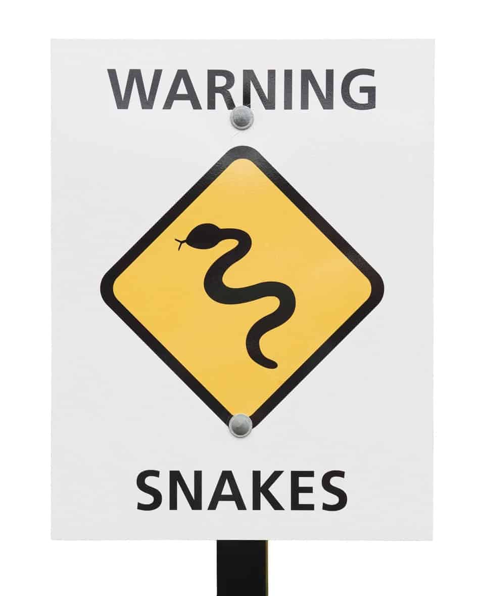 non-venomous-snake-bite-symptoms-embora-pets