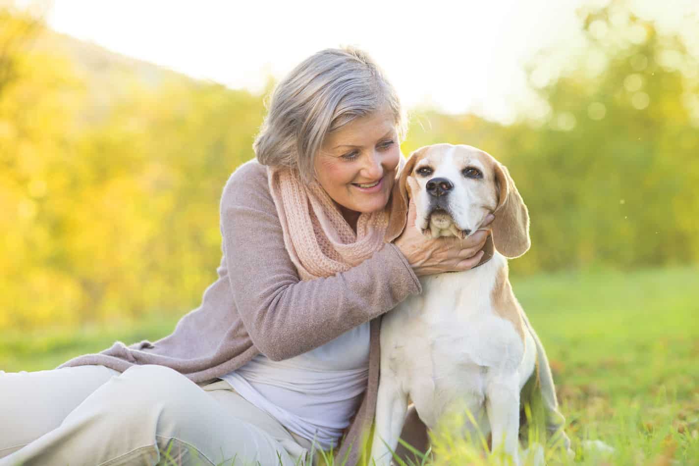 Beagles as Pets: Cost, Life Expectancy, and Temperament - Embora Pets