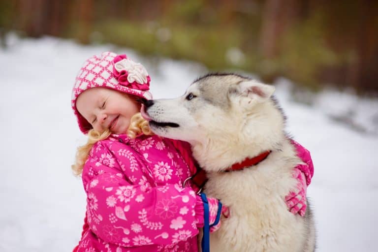 Are Huskies Good with Kids? A Guide for Parents