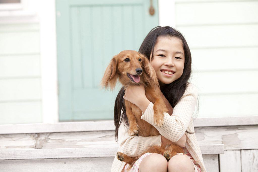 are dachshunds good with cats