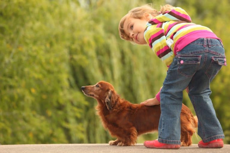 Are Dachshund Puppies Good with Kids?