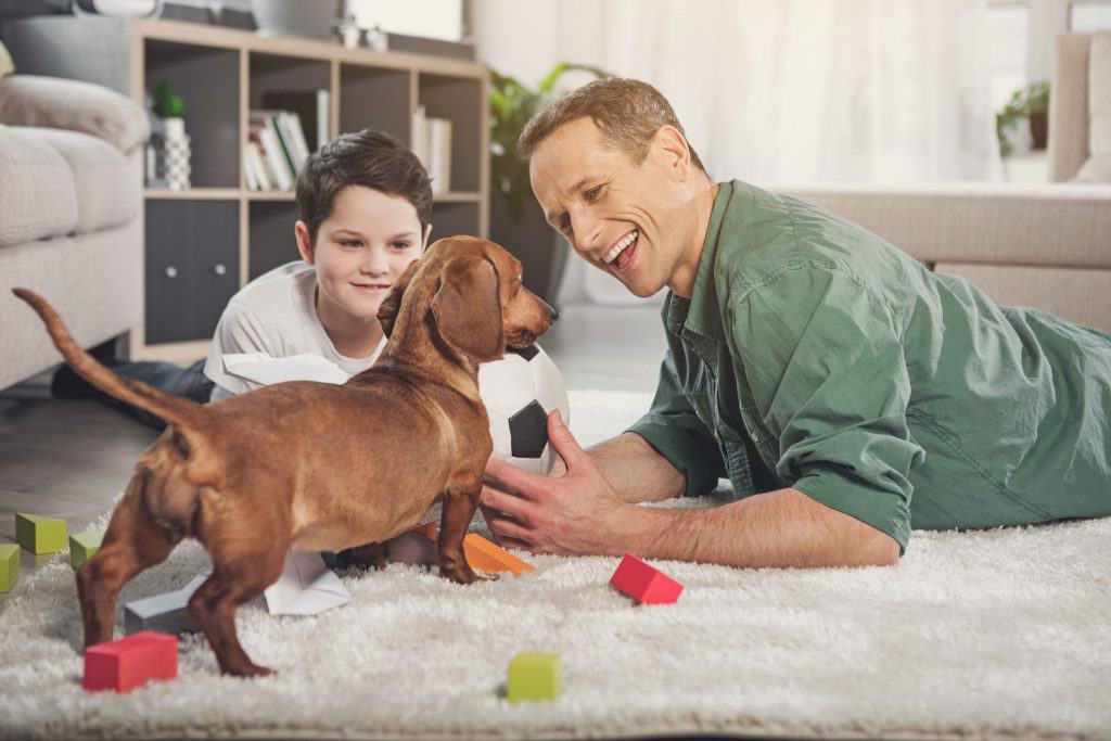 Are Dachshund Puppies Good with Kids?