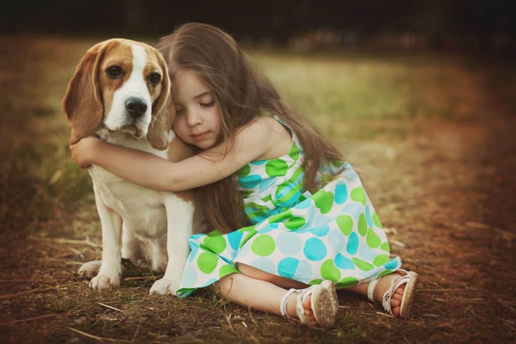 newborn baby beagles