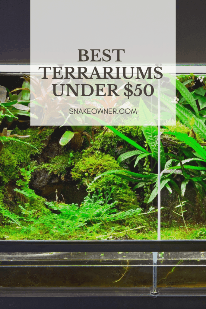 BEST TERRARIUMS UNDER 50 Best Terrariums Under $50