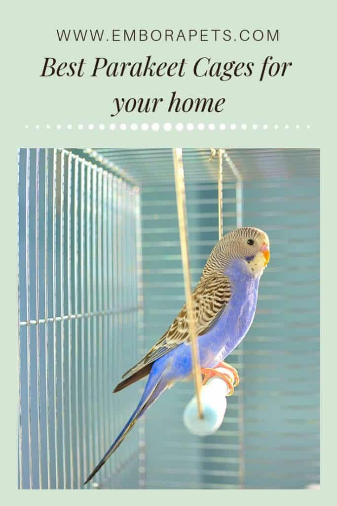 Tips and Tricks from SayHi DIY.com 4 These are the Best Bird Cages for Parakeets in a Home