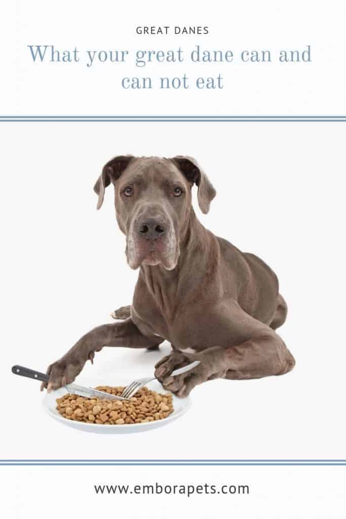 Tips and Tricks from SayHi DIY.com 8 The Ultimate Guide to What Great Danes Can (And Can't) Eat