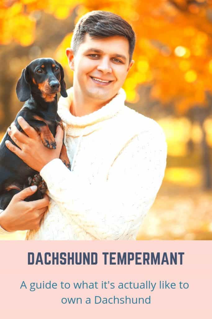 WWW.Emborapets.com 1 Dachshund Temperament: What's it Like Owning One?
