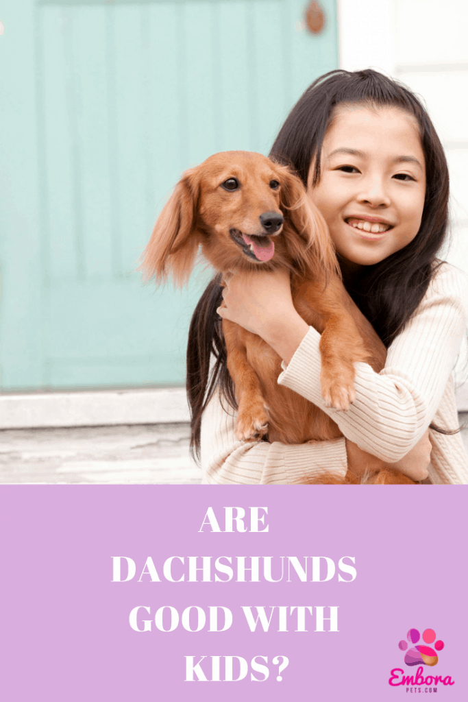 5 Fun Suggestions Are Dachshunds Good with Kids? A Guide for Parents