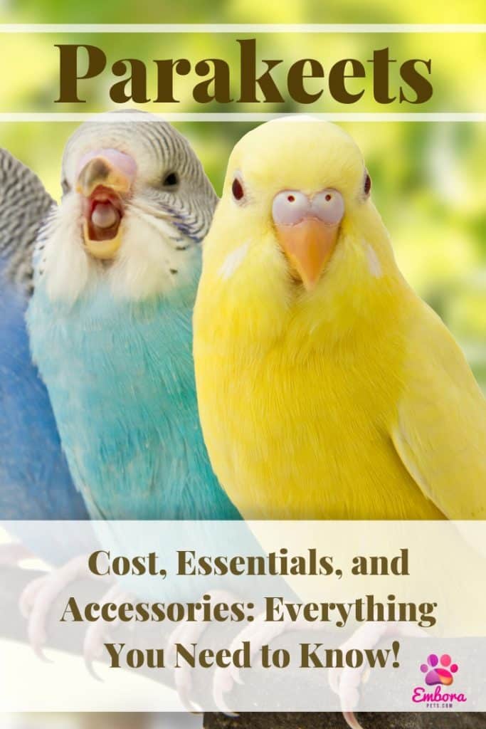 Add a heading 2 How Much Do Pet Parakeets Cost? What About the Accessories?