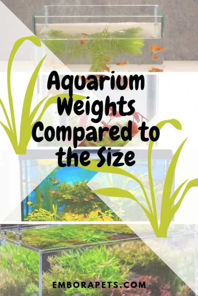 Aquarium Weight Comparied to Size Aquarium Weights Compared to the Size [13 Examples]