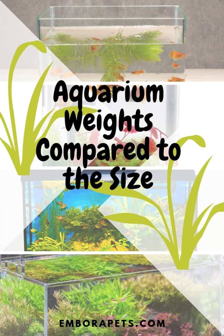 Aquarium Weights Compared to the Size (With 13 Different Examples