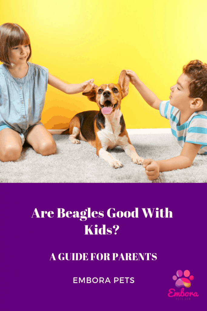 Are Beagle Good with Kids Pinterest Are Beagles Good with Kids? A Guide for Parents