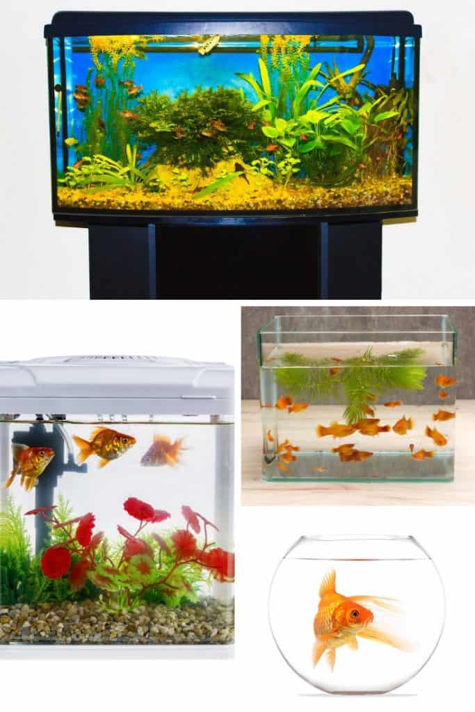 Aquarium Dimensions The Right Size For Your Home And Fish Species Embora Pets