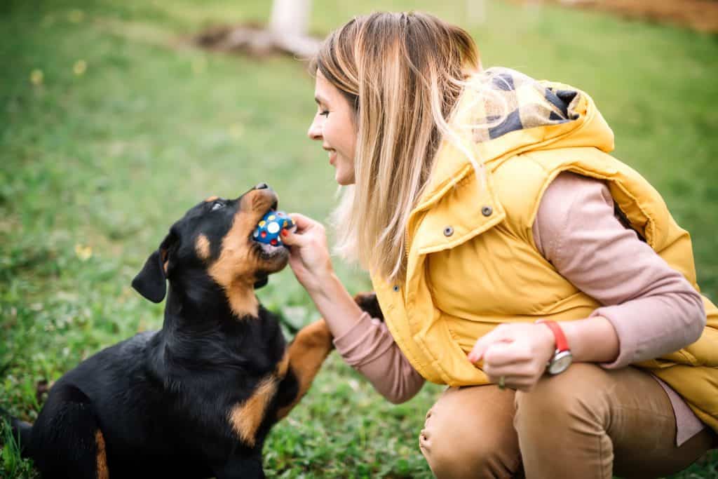 78926091 m Are Rottweilers Good with Kids? A Guide for Parents