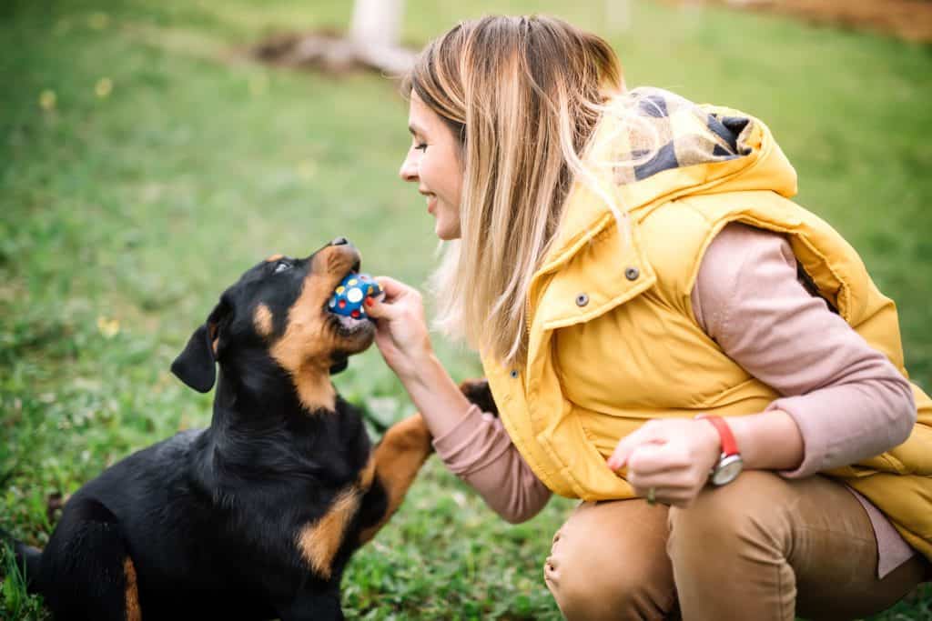 rottweiler children