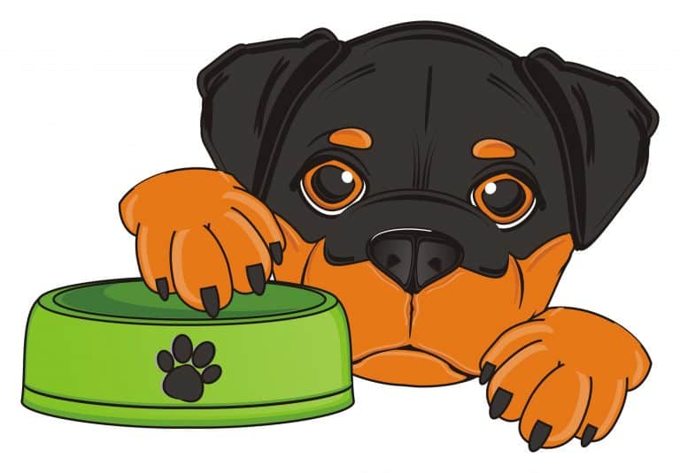 The Ultimate Guide to What Rottweilers Can (and Can’t) Eat