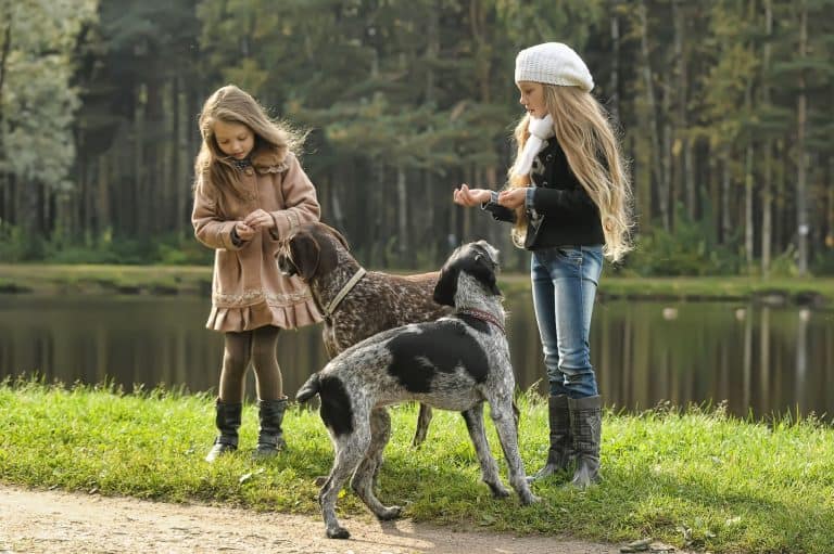 Are Pointers Good with Kids? A Guide for Parents.