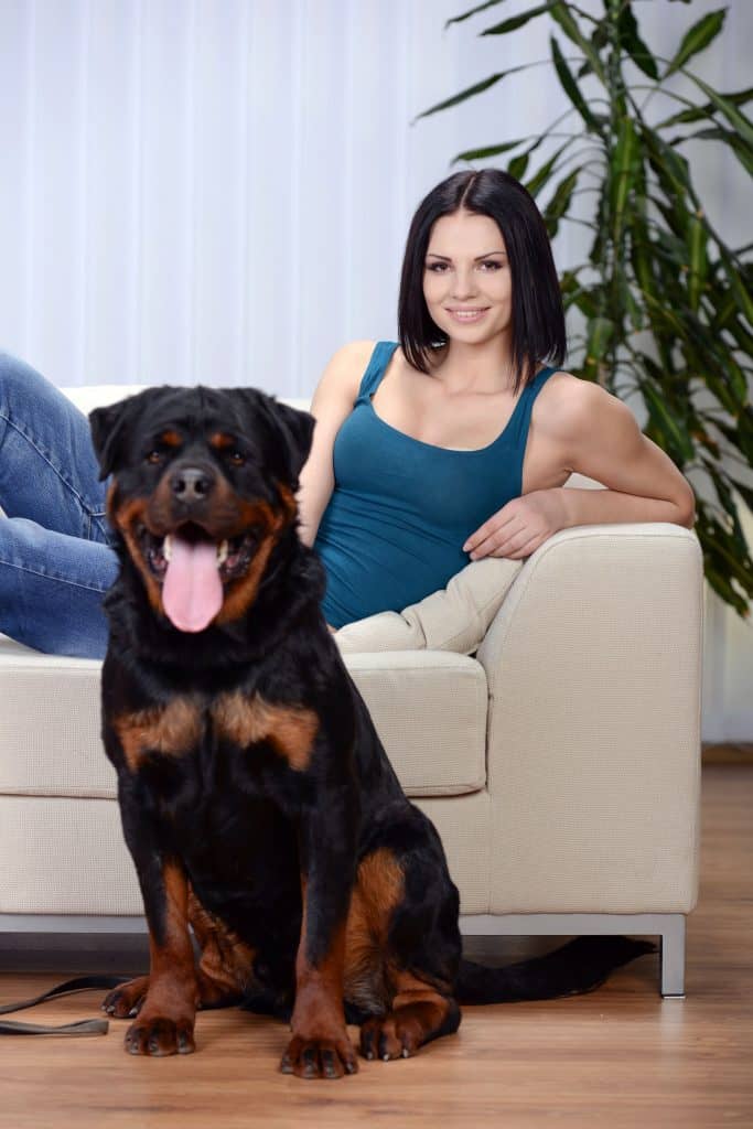 Hypoallergenic rottweiler deals