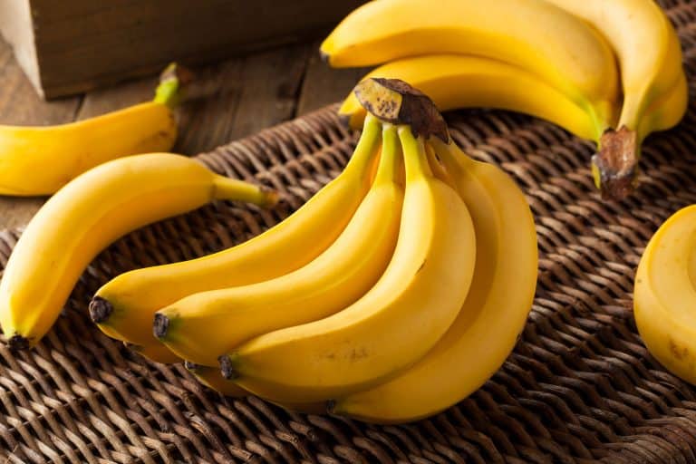 Can Great Danes Eat Bananas?