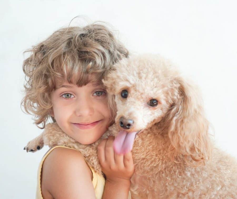 Are poodles good with kids