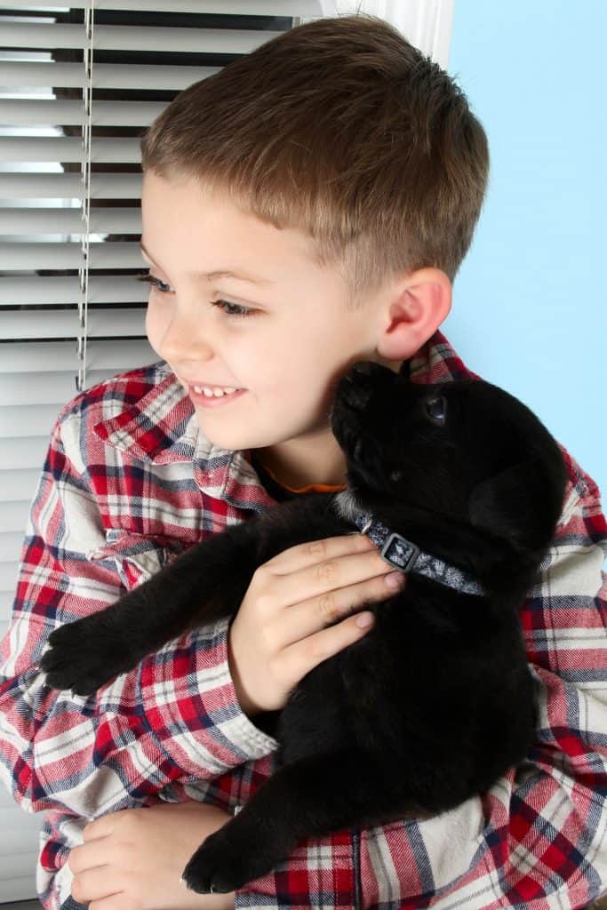 Are Rottweiler Puppies Good with Kids?