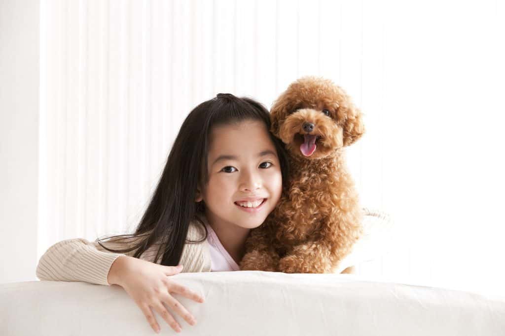 are poodle puppies good around children