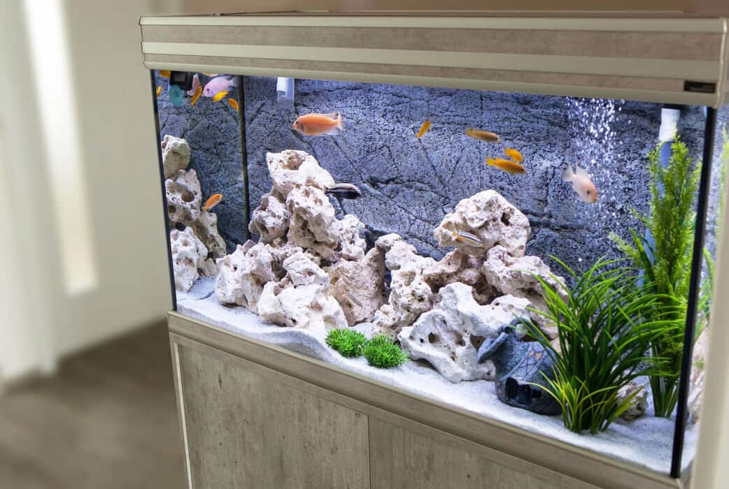 Poids des aquariums comparés à la taille (avec 13 exemples différents