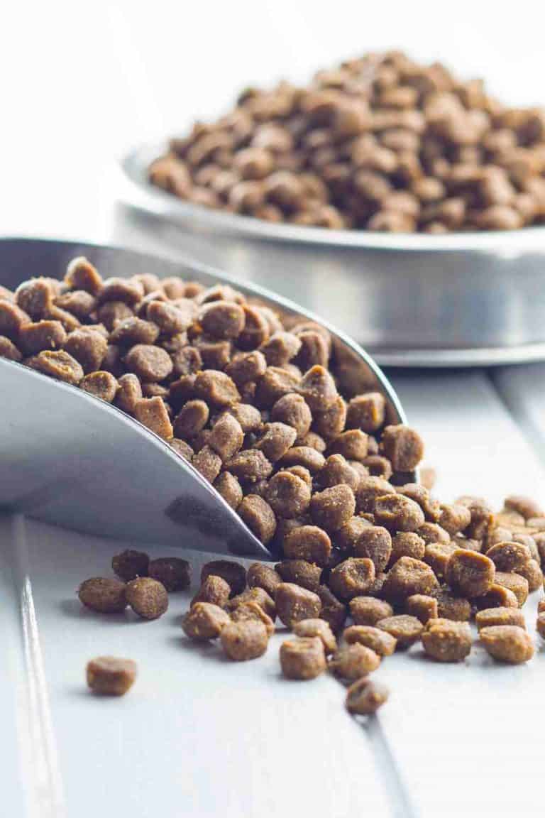 The Ultimate Guide to What Huskies Can (And Can't) Eat Embora Pets