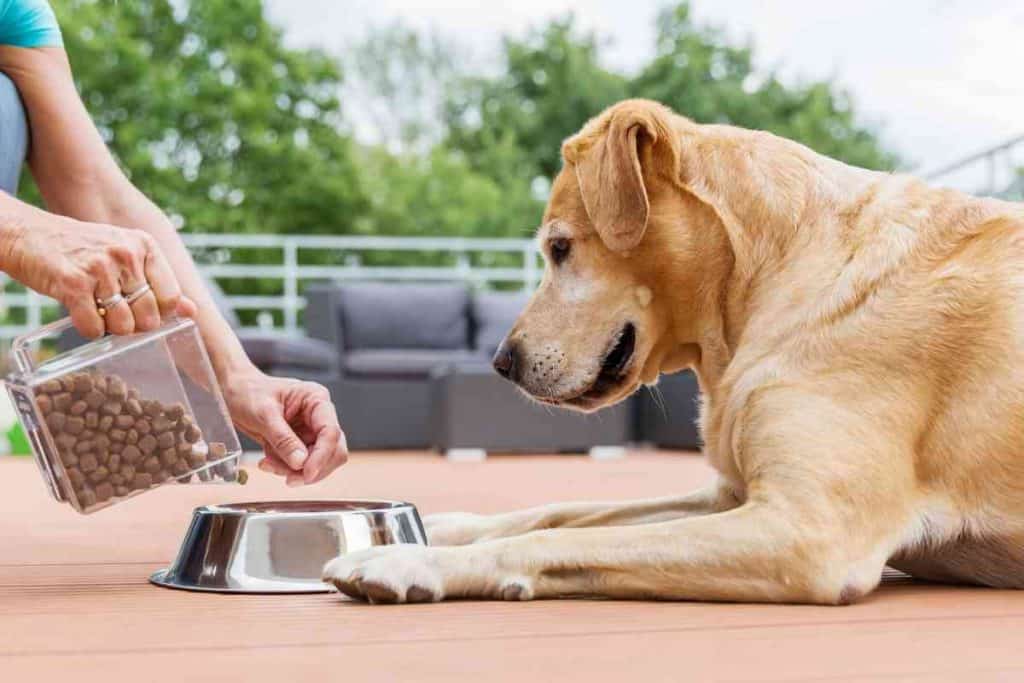 waterproof dog food container