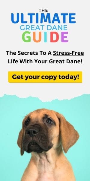 Best Great Dane Book for purchasing a dog. #dogs, #greatdane