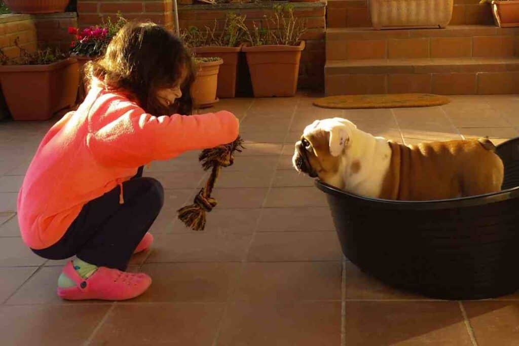 are english bulldogs good with children