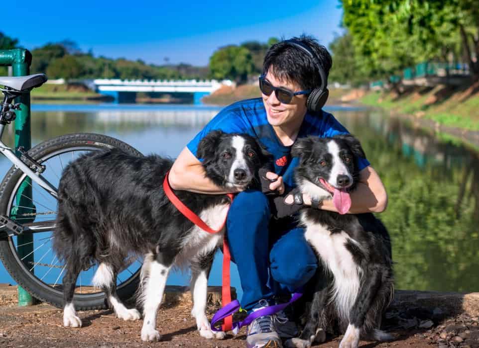 Do Border Collies like to cuddle?