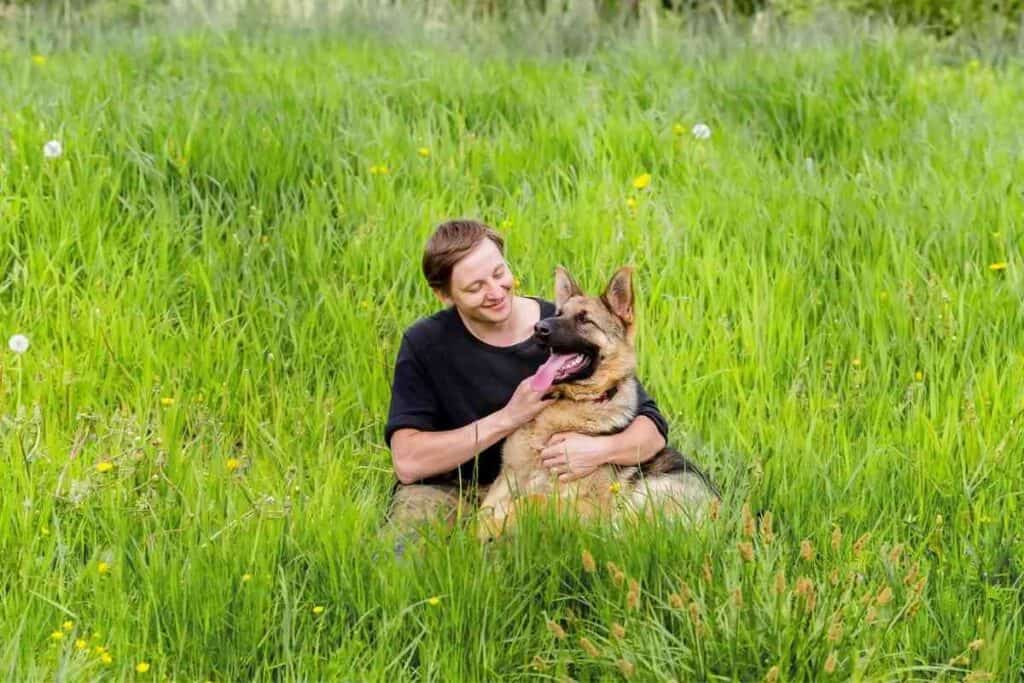 do german shepherds attach to one person