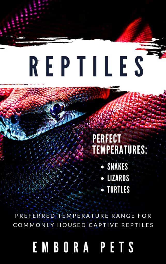 Reptiles Temperature Guide