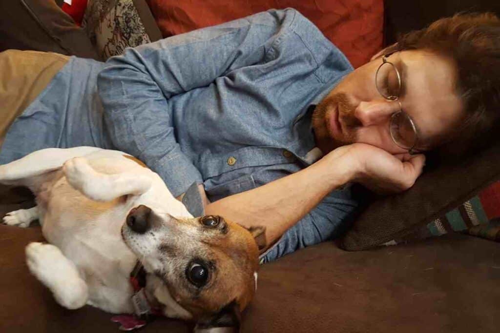 Does Jack Russells like to Cuddle?