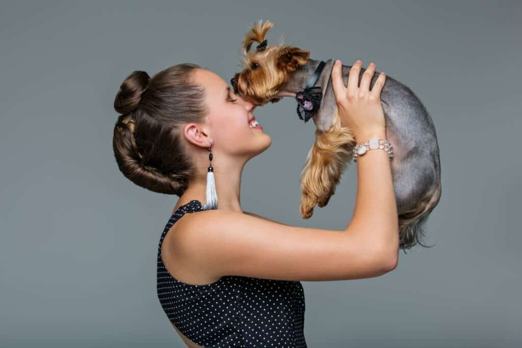 Do Yorkies Need a Lot of Attention?