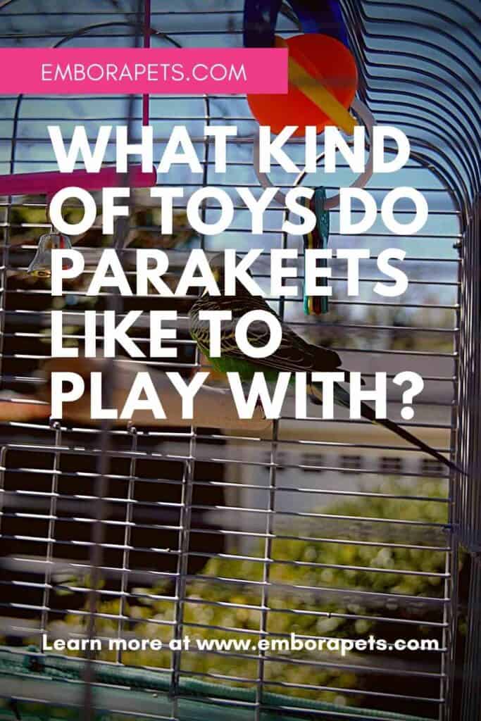 What Kind of Toys Do Parakeets Like to Play With