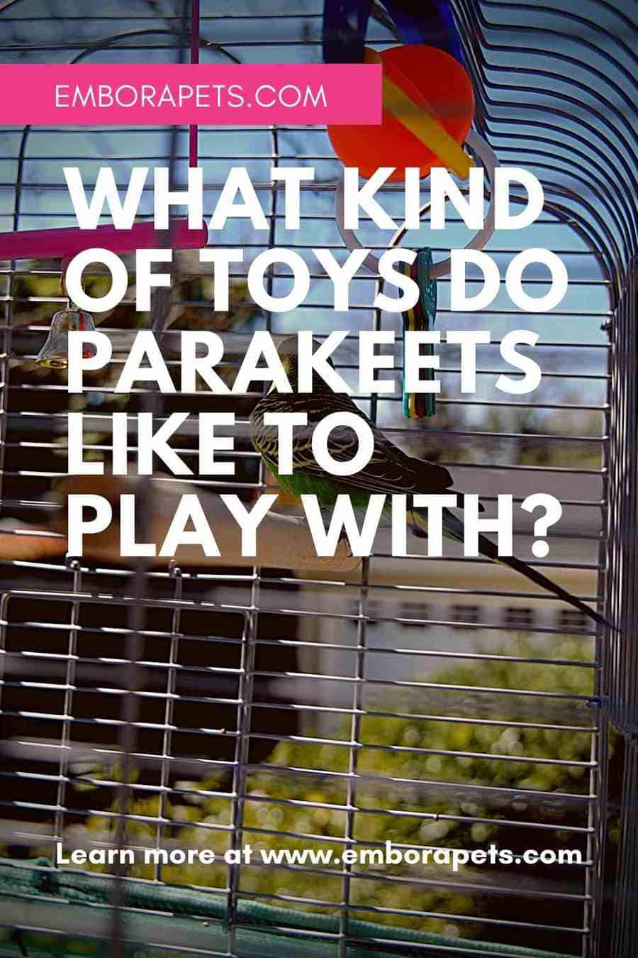 What Kind of Toys Do Parakeets Like to Play With? (Parakeet Toy Guide