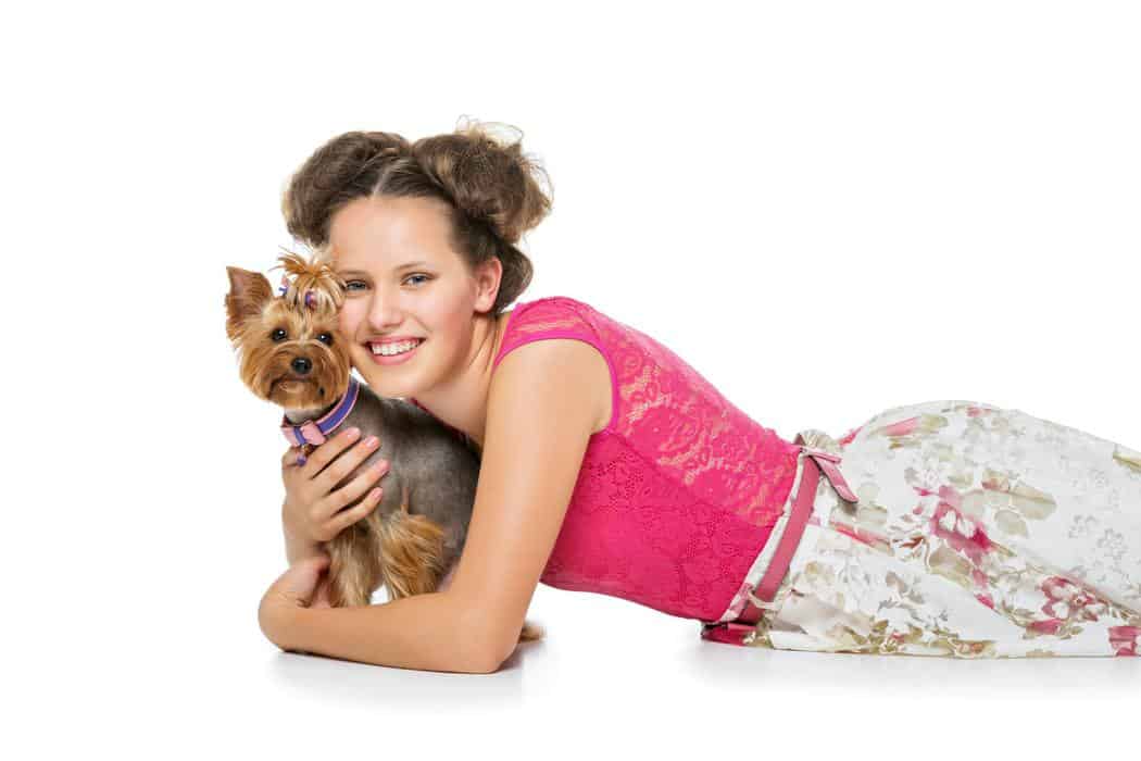 Do Yorkies Like to Be Held? Embora Pets