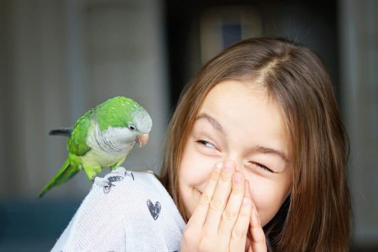 ⭐️Nominated ⭐️ Cute smiling girl playing with her pet green Monk Parakeet parrot
