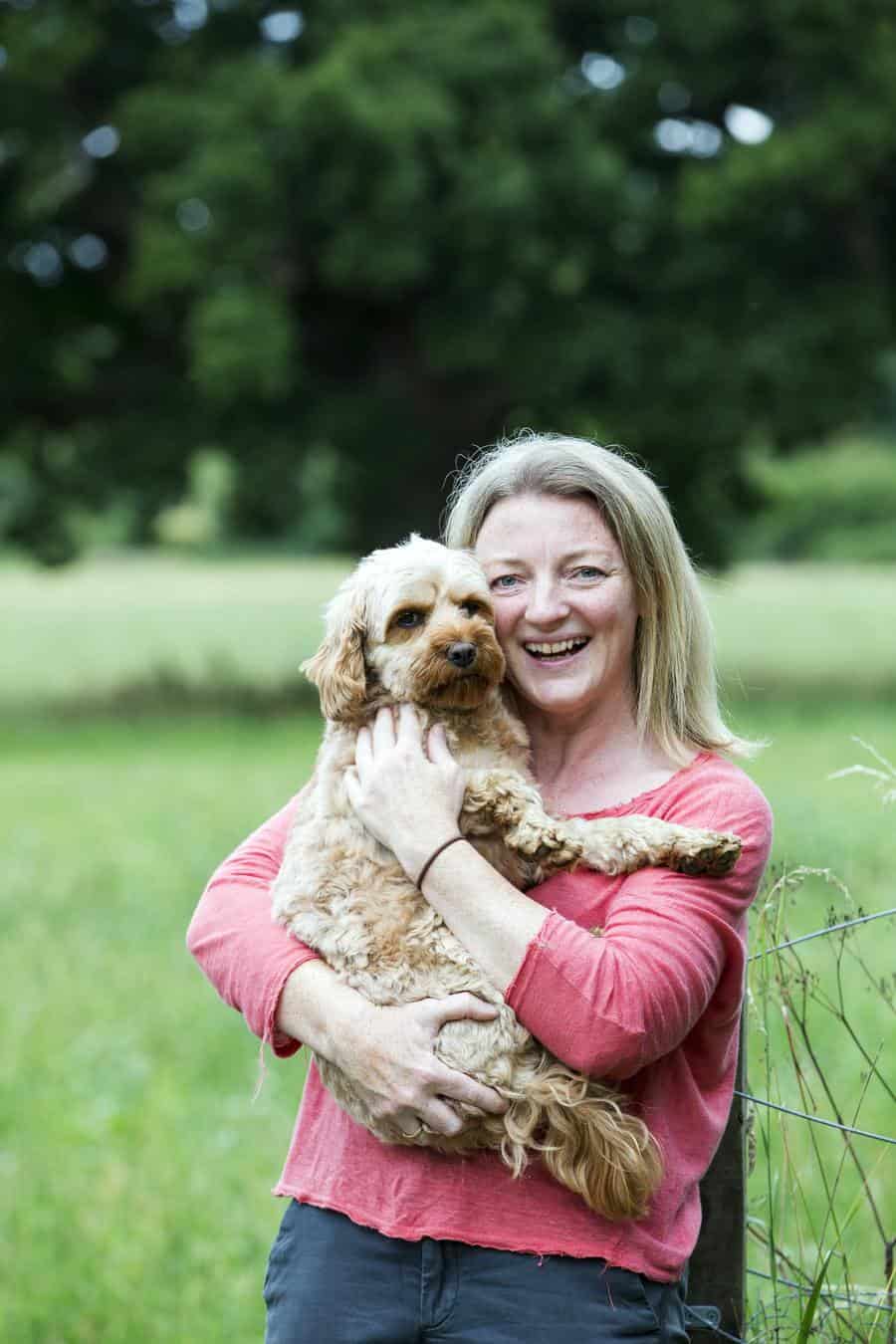 are cavapoos cuddly