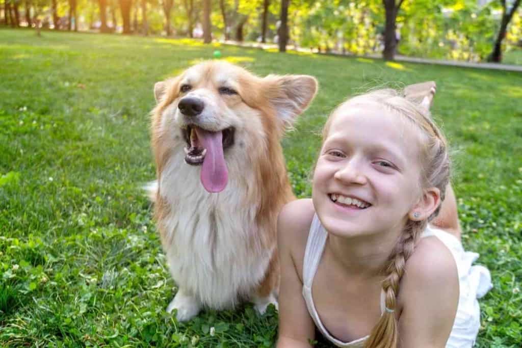 Are Corgis Good With Kids 1 Are Corgis Good With Kids?