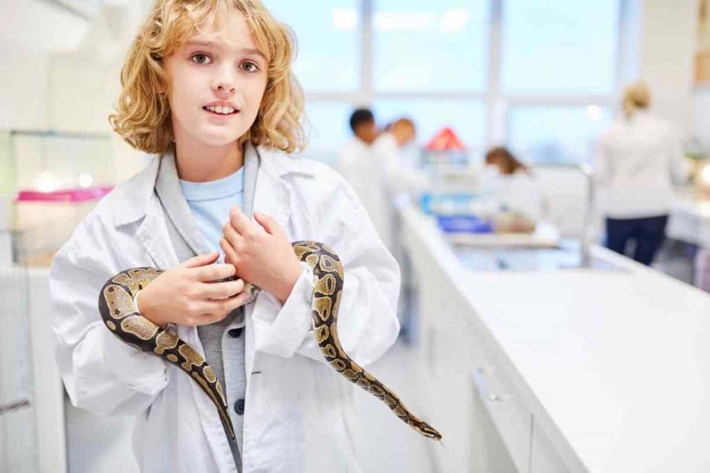 Can Snakes Get Cancer 1 1 Can Snakes Get Cancer? [Signs And Symptoms]