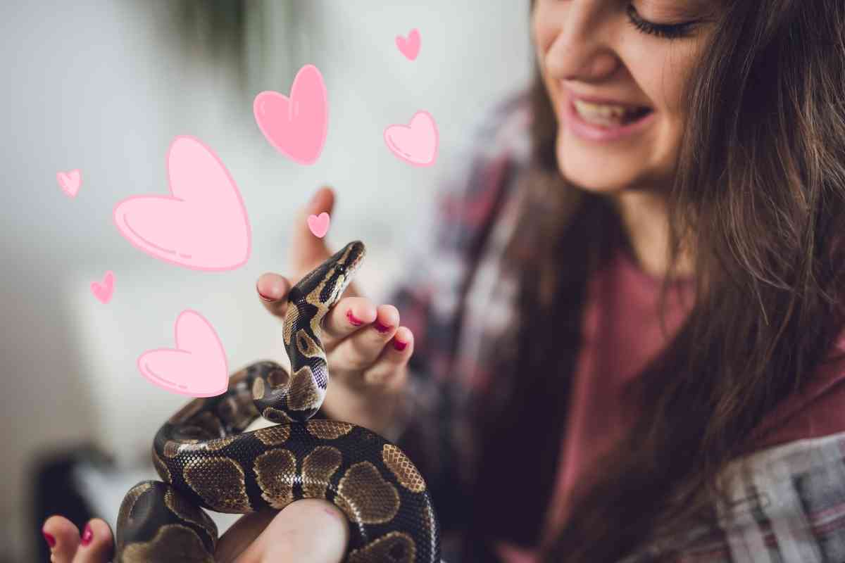 Can Snakes Love Their Owners? 5 RelationshipBuilding Tips Embora Pets