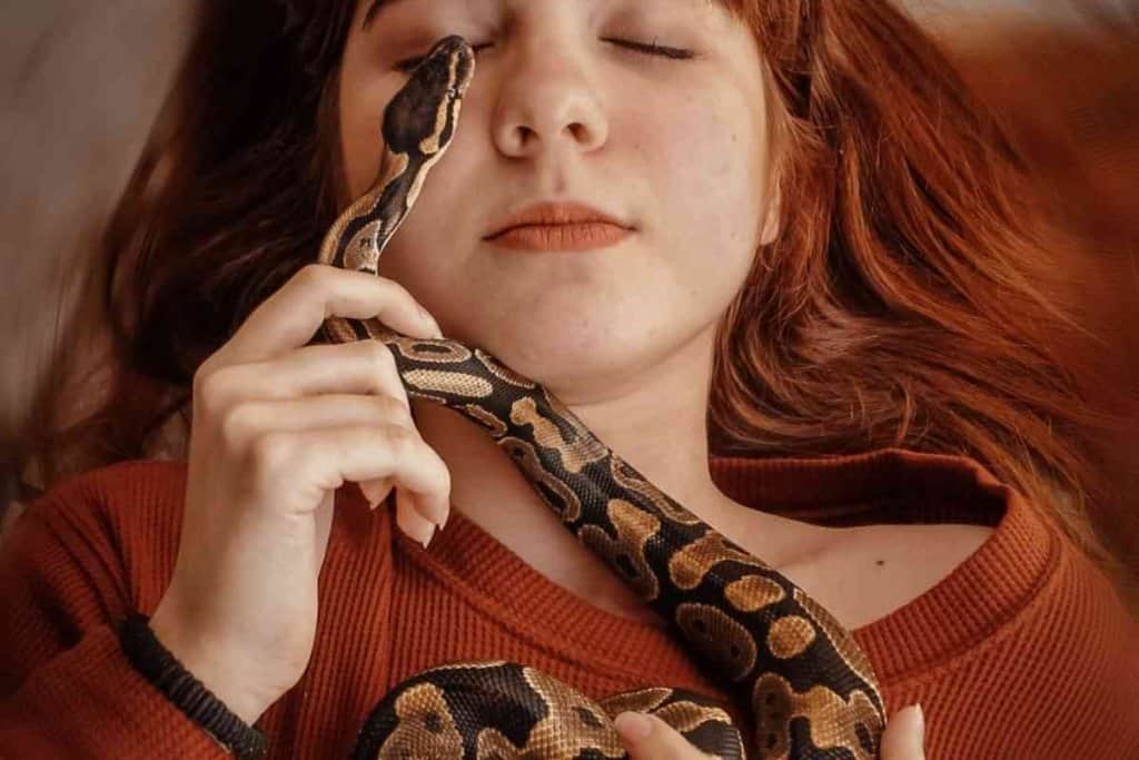 Can You Hold a Snake After It Eats?