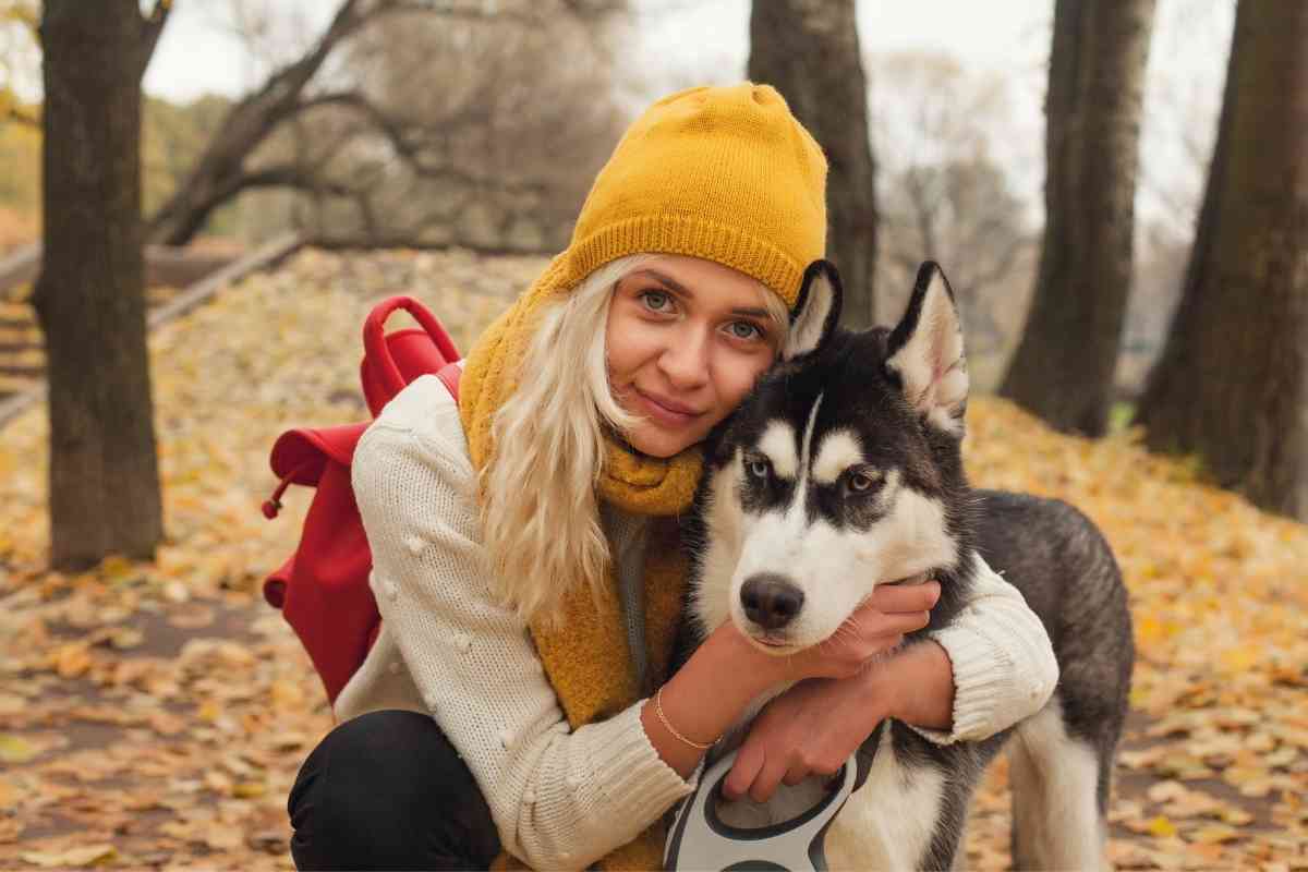 Do Siberian Huskies Like To Cuddle? Embora Pets