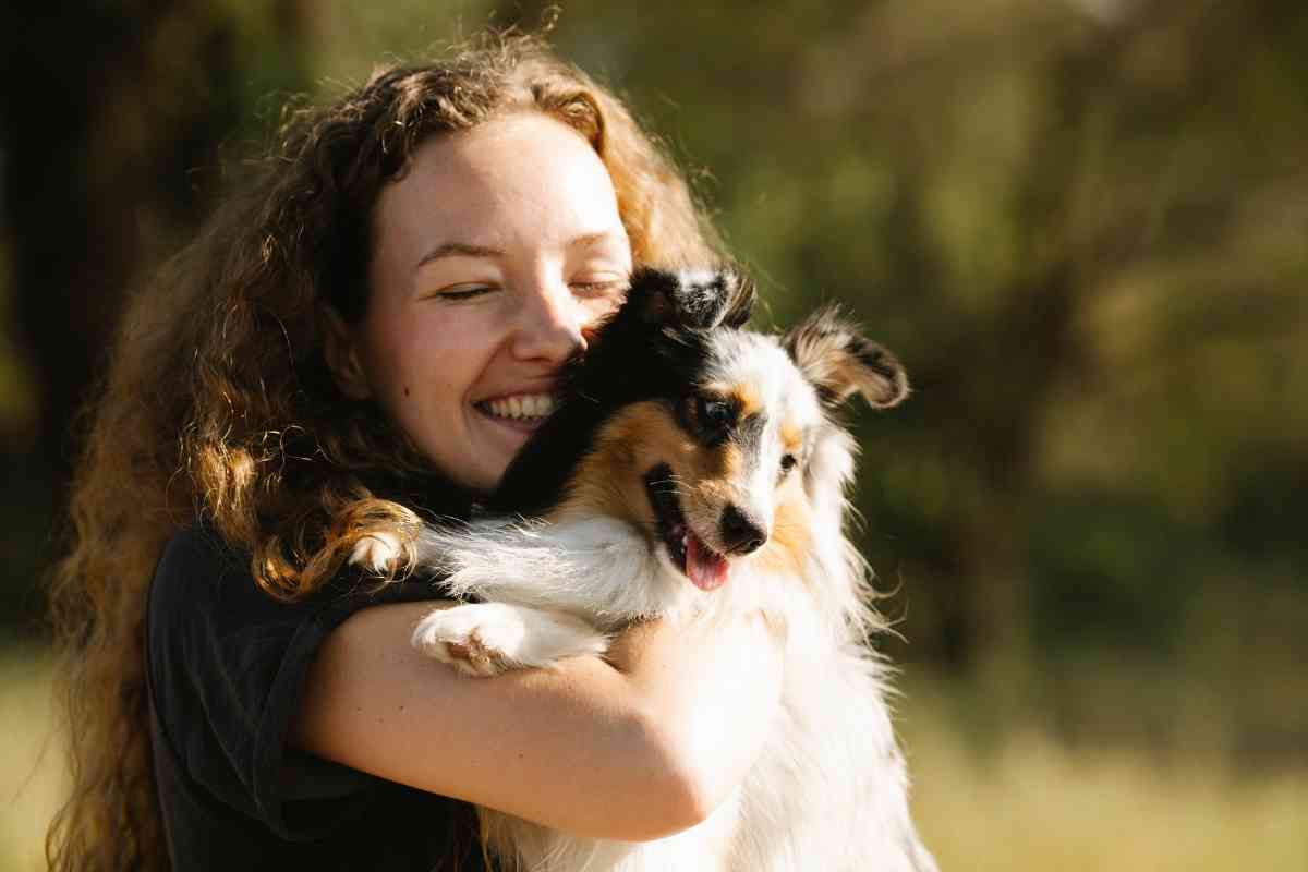 How Much Does A Sheltie Puppy Cost? 7 Factors - Embora Pets