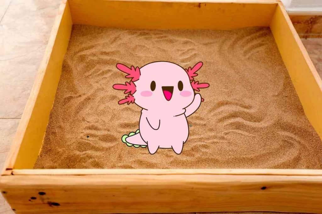 Is Play Sand Safe for Axolotls 1 Is Play Sand Safe for Axolotls? Cash-Saving Substrate Material